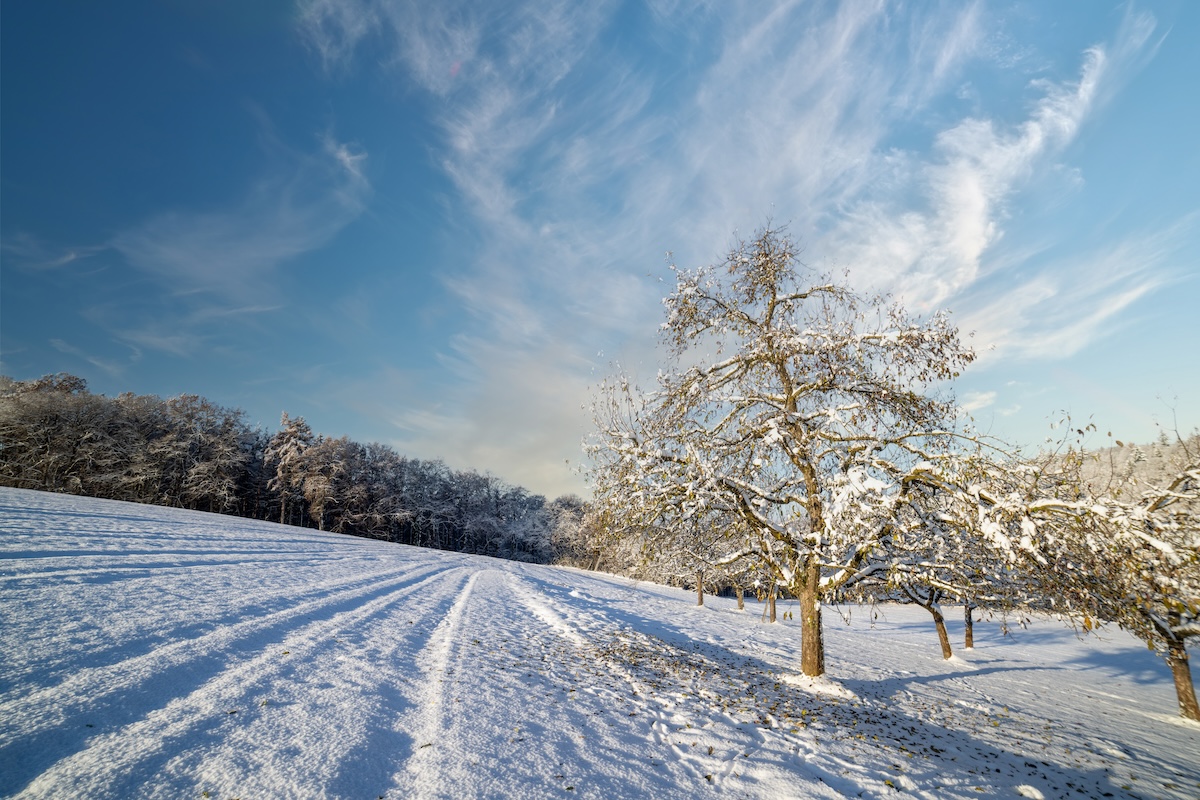 Winter Fuel Efficiency Tips from Black Bear Fuel Oil